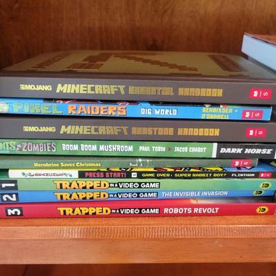 MineCraft, Diary of an 8 Bit Warrior, & More Gaming Books (LR-DW)