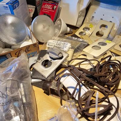 Electric Parts  + Light Bulbs  (WS2-JS)