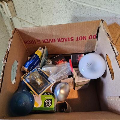 Electric Parts  + Light Bulbs  (WS2-JS)