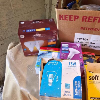 Electric Parts  + Light Bulbs  (WS2-JS)