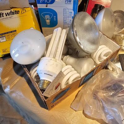 Electric Parts  + Light Bulbs  (WS2-JS)