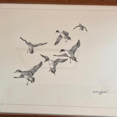 4 Vintage 1968 Framed Signed Duck Drawings