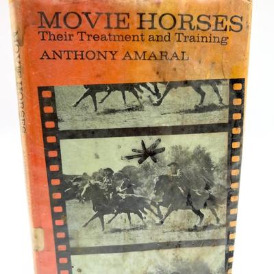 Horse Lot
