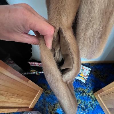 Ladies Fur Coats & More (UB-RG)