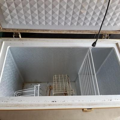 Chest Freezer