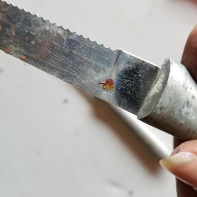 Knives with Block