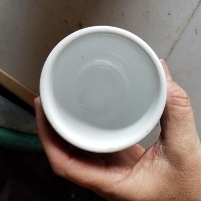 Asian Dishes