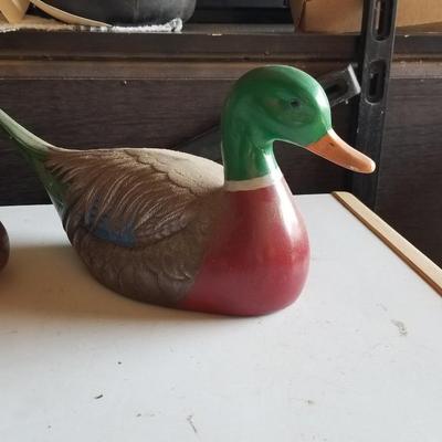 Decoy Ducks