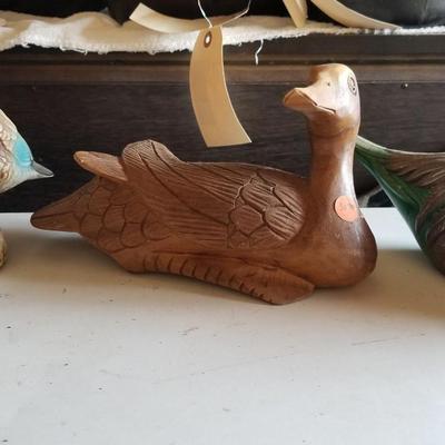 Decoy Ducks