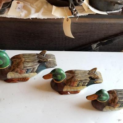 Decoy Ducks