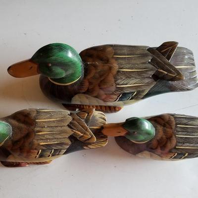 Decoy Ducks