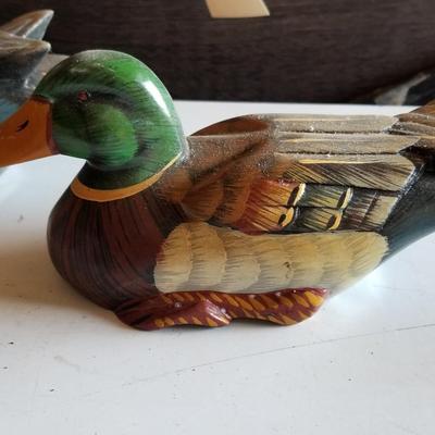Decoy Ducks