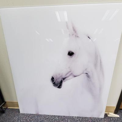 Empire Art Direct White Horse Graphic