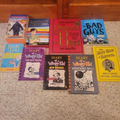 Diary of a Wimpy Kid, Ninjago, Dogman & More Youth Fiction Books (LR-DW)