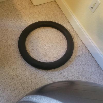 Trideer Exercise Ball/ Desk Chair (O-DW)