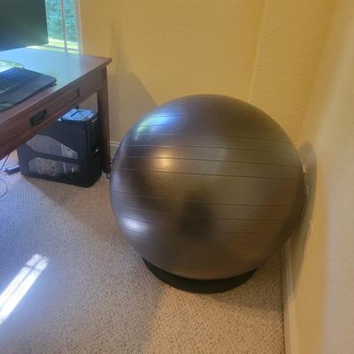 Trideer Exercise Ball/ Desk Chair (O-DW)