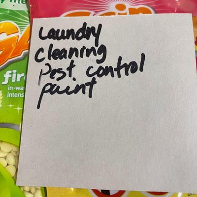 Laundry , cleaning and pest control