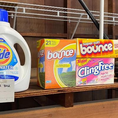 Laundry , cleaning and pest control