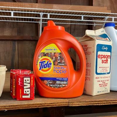 Laundry , cleaning and pest control