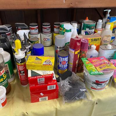 Laundry , cleaning and pest control