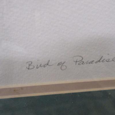 Bird Of Paradise Framed Wall Art - C