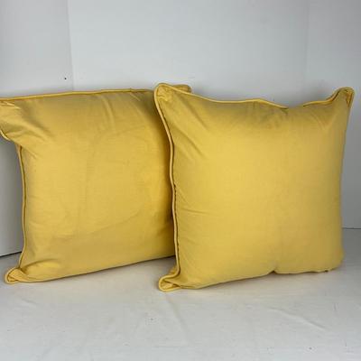 855 Pair of POTTERY BARN Yellow Embroidered Decorative Pillows