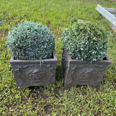 889 Pair of Composition French Style with Fruit Square Planters