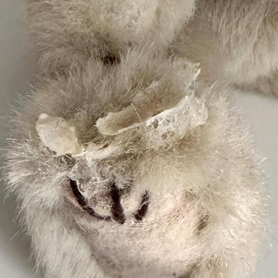 Bunnies - Lot # 1