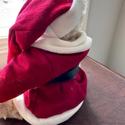 Midwest Bear - T. Roosevelt Sagamore Hill Santa