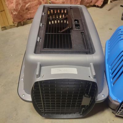 Voluas Auto Feeder, Pet Carriers and Other Pet Accessories (WS-DW)