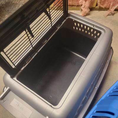 Voluas Auto Feeder, Pet Carriers and Other Pet Accessories (WS-DW)