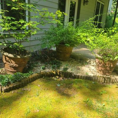 Eight Large Concrete Planters (D-DW)