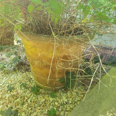 Eight Large Concrete Planters (D-DW)