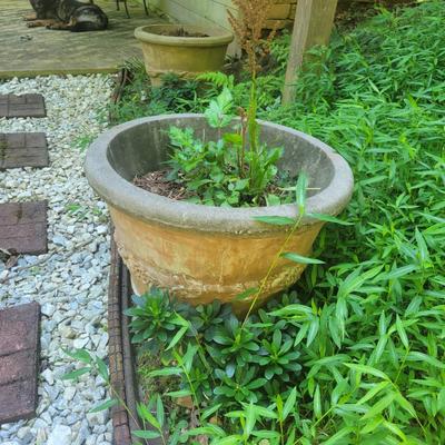 Eight Large Concrete Planters (D-DW)