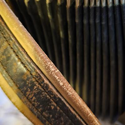 Wurlitzer Deluxe Accordion  + Case  (UO-JS)