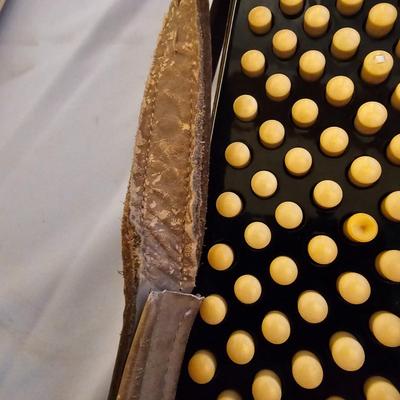 Wurlitzer Deluxe Accordion  + Case  (UO-JS)