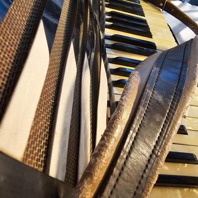 Wurlitzer Deluxe Accordion  + Case  (UO-JS)