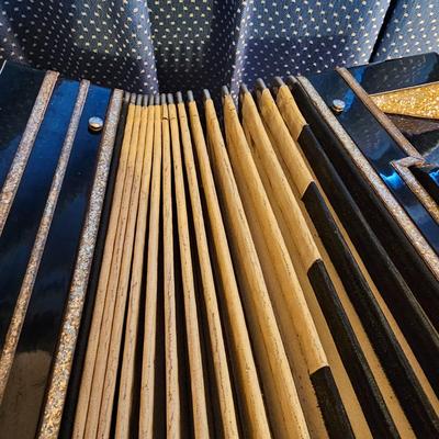 Wurlitzer Deluxe Accordion  + Case  (UO-JS)