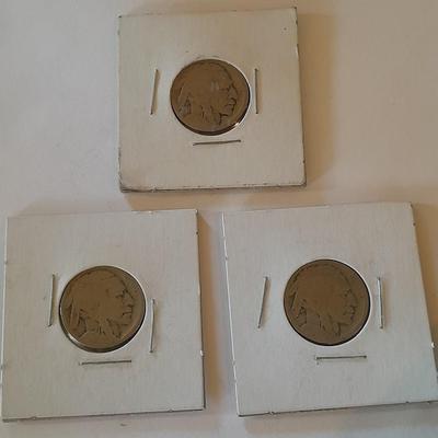 Three Buffalo head Nickels