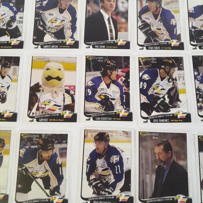 Champion Hockey Trading cards Colorado Eagles