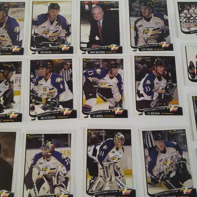 Champion Hockey Trading cards Colorado Eagles
