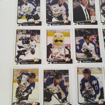 Champion Hockey Trading cards Colorado Eagles