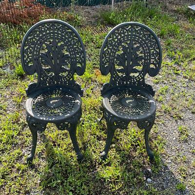 890 Pair of Cast Iron Chairs