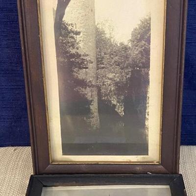 Vintage Photographs