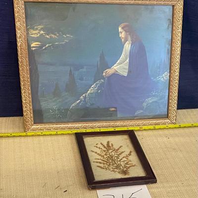 Vintage Picture and Plant from Mount Olive