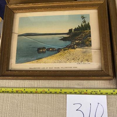Vintage Yellowstone Photo Set