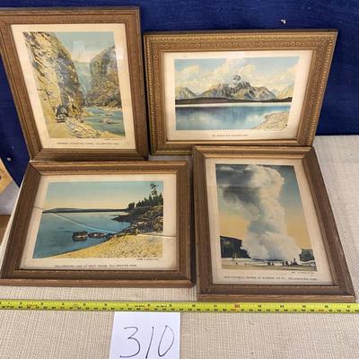 Vintage Yellowstone Photo Set