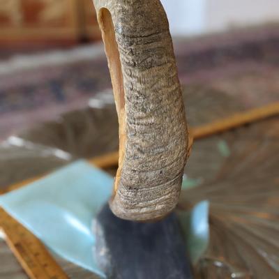 Brad Finch, Eagle River, Wi, "Night Duel" Horn Carving
