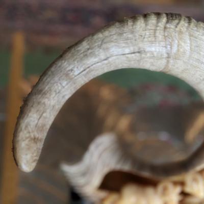Brad Finch, Eagle River, Wi, "Night Duel" Horn Carving