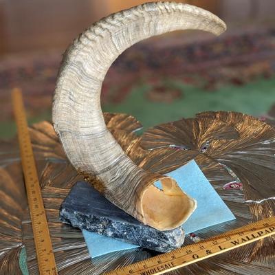 Brad Finch, Eagle River, Wi, "Night Duel" Horn Carving